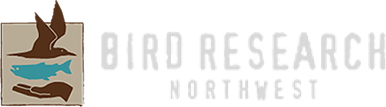 Bird Research Northwest – Real Time Research